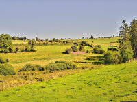 ZZ-Image-Webcam-Ambl-ve-2025-08-11-17-40