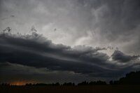 190608095049543188.jpg