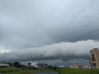 190621011719422663.jpg