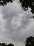 190701125802313052.jpg