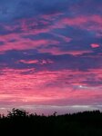 190710034431582995.jpg