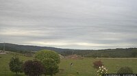 190929030338163541.jpg
