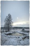 201218034411212985.jpg