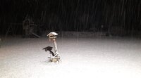 201218040715899766.jpg