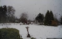 201218115847214454.jpg