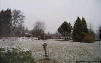 201225041330278785.jpg