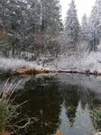201227063243853741.jpg