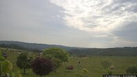 210628061358806070.jpg