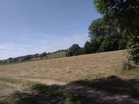 IMG_20220703_115952.jpg