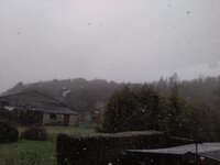 IMG_20230327_095643.jpg