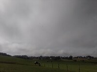 IMG_20230917_111127.jpg