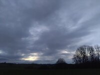 IMG_20240226_181918.jpg