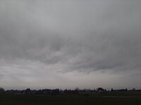 IMG_20240310_110443.jpg