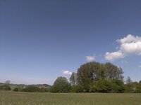 IMG_20240509_110029.jpg