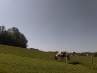 IMG_20240509_110047.jpg