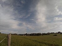 IMG_20240509_193412.jpg