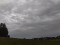 IMG_20240514_190513.jpg