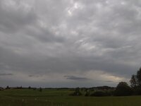 IMG_20240514_190522.jpg