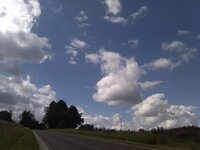 IMG_20240612_110416.jpg