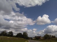 IMG_20240612_110549.jpg