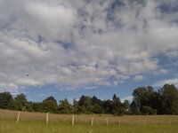 IMG_20240617_185250.jpg