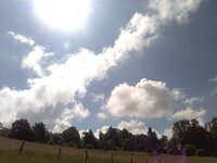IMG_20240623_105024.jpg
