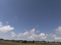 IMG_20240623_105032.jpg