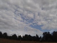 IMG_20240623_185210.jpg