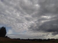 IMG_20240623_185218.jpg