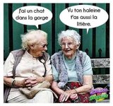 FB_IMG_1721764761653.jpg