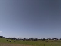 IMG_20240805_105224.jpg