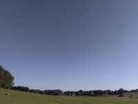IMG_20240805_191507.jpg