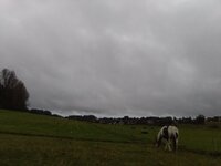 IMG_20240930_191536.jpg