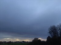 IMG_20241013_184835.jpg