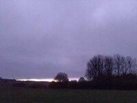 IMG_20241107_172649.jpg