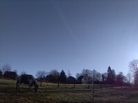 IMG_20241226_105637.jpg