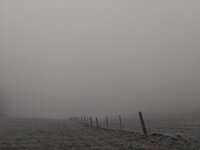 IMG_20241229_105412.jpg