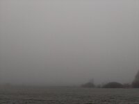 IMG_20241229_105428.jpg