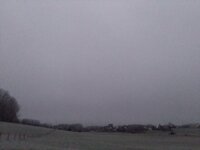 IMG_20241229_170247.jpg