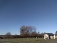 IMG_20250113_103447.jpg
