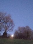 IMG_20250113_173621.jpg