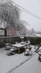 20250314_073910.jpg