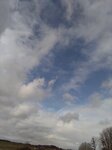 IMG_20250322_103528.jpg