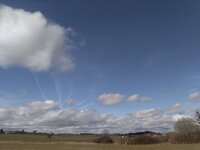 IMG_20250323_104331.jpg