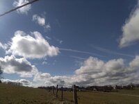 IMG_20250323_104349.jpg
