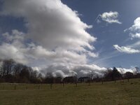 IMG_20250323_104413.jpg