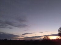 IMG_20250324_191538.jpg