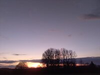 IMG_20250324_191546.jpg