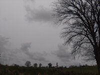 IMG_20250416_183437.jpg