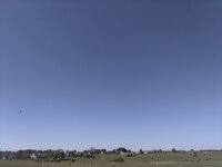 IMG_20250510_104242.jpg